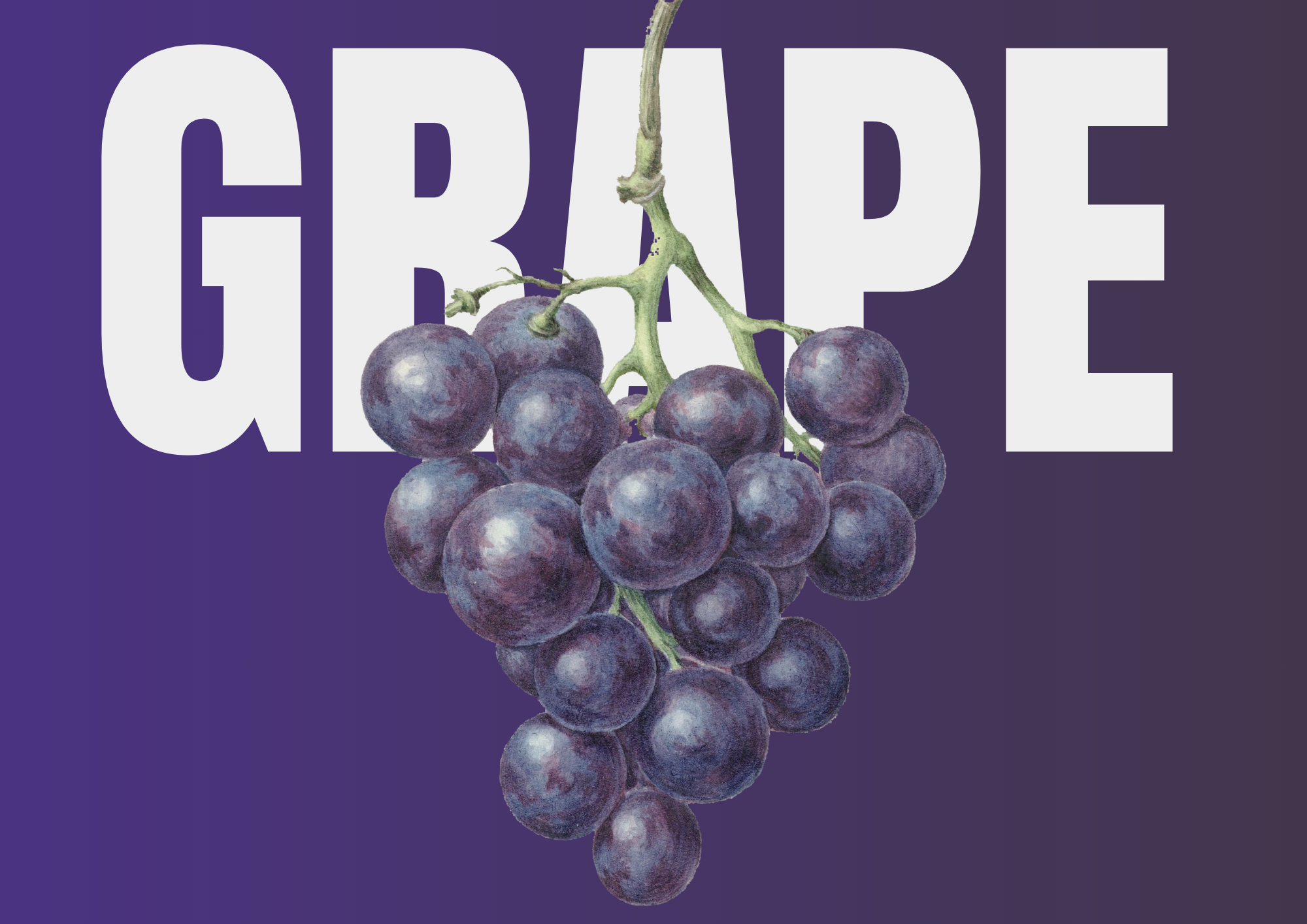 Grape Escape
